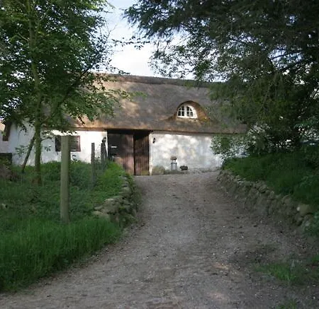 Bed & Breakfast Springbakgaard Nibe