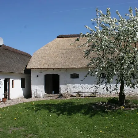 Springbakgaard