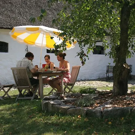 Springbakgaard
