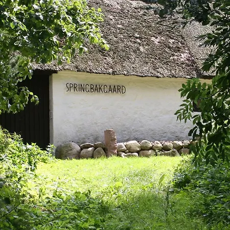 Springbakgaard Nibe