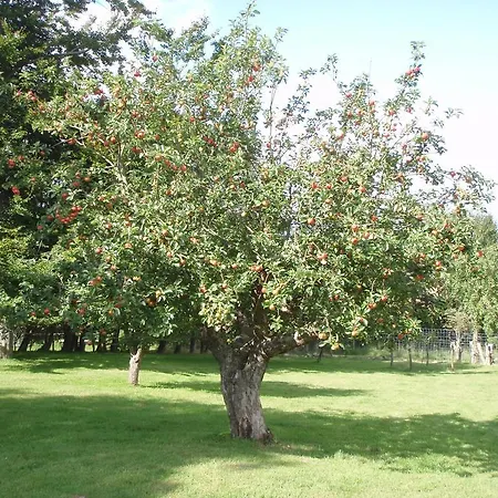 Springbakgaard Nibe