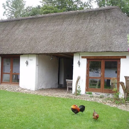 Bed & Breakfast Springbakgaard