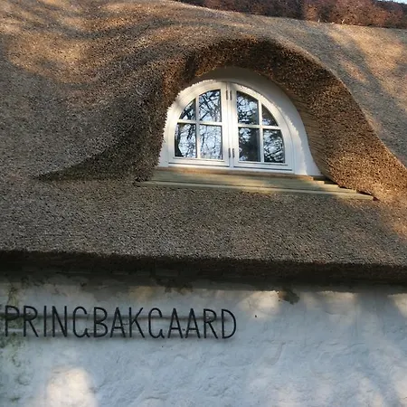 Springbakgaard Nibe